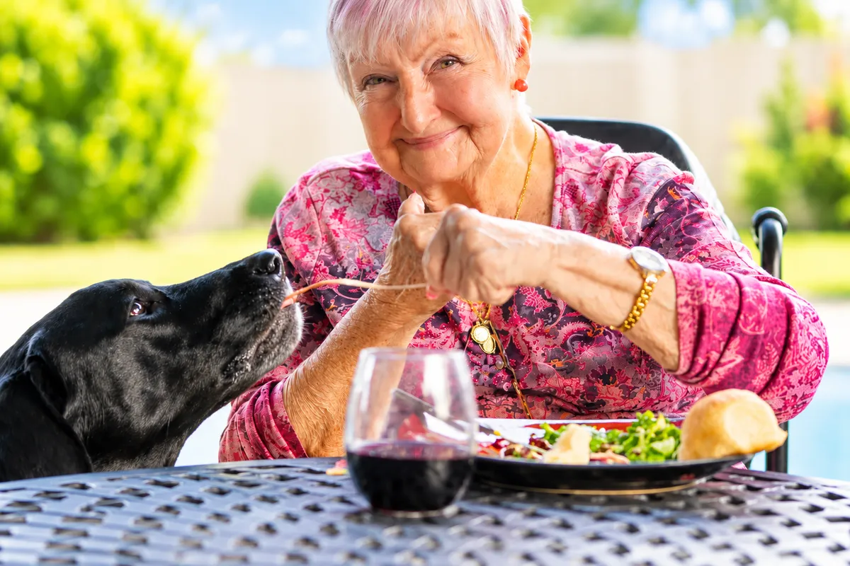 Elderly woman enjoying a meal outdoors with her dog
